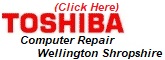 Toshiba Laptop Repair, Computer Upgrade Wellington